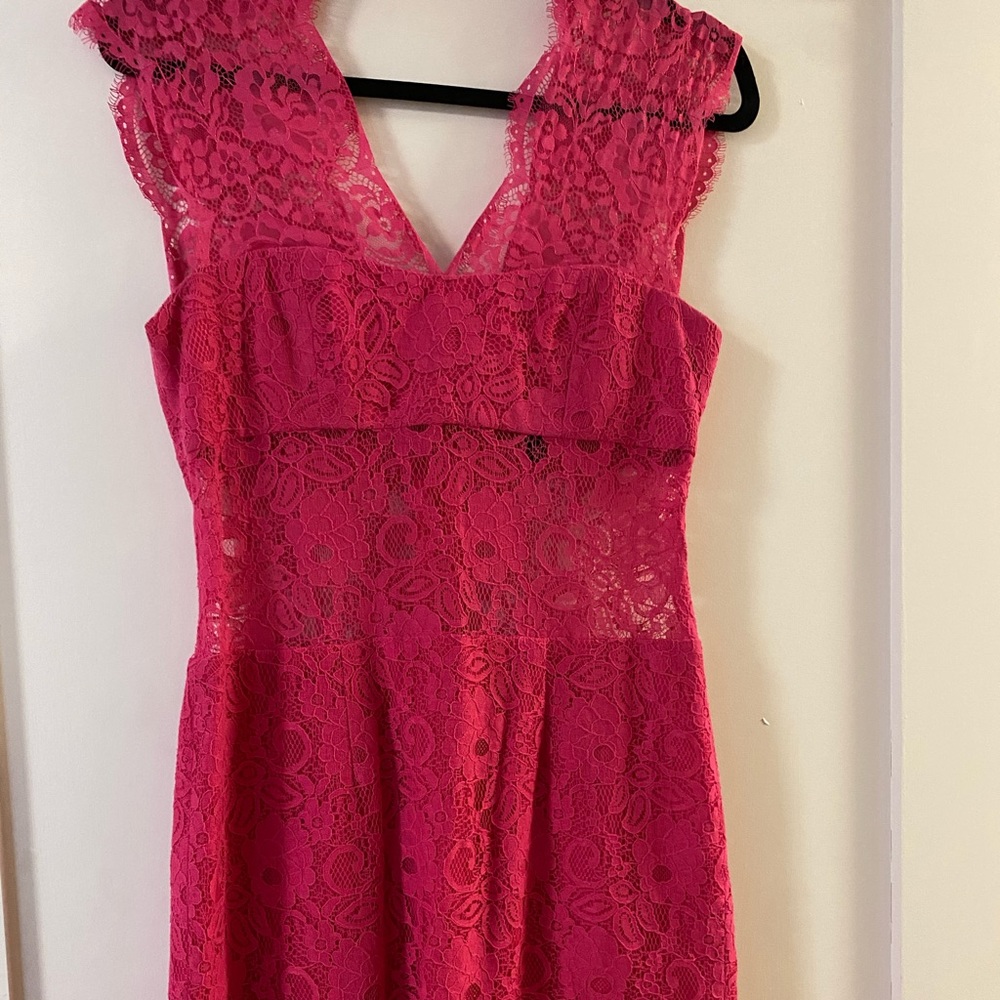 Pink Lace BCBG Mini Dress